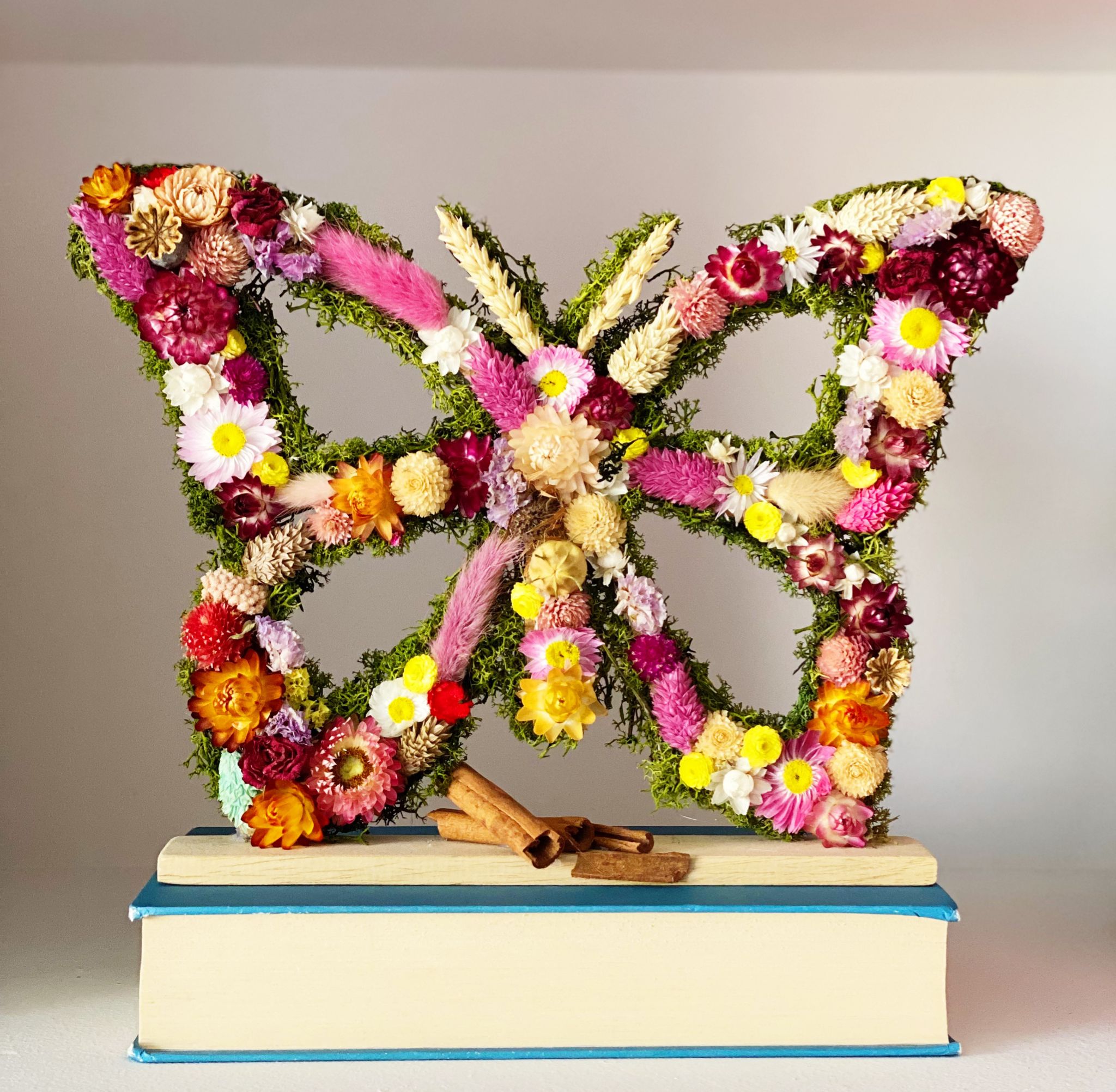 mariposa un poco de canela2