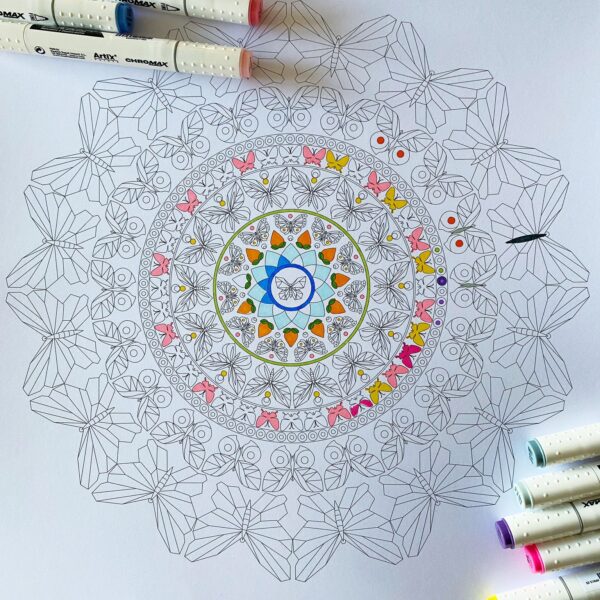 Mandala mariposas